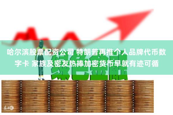 哈尔滨股票配资公司 特朗普再推个人品牌代币数字卡 家族及密友热捧加密货币早就有迹可循