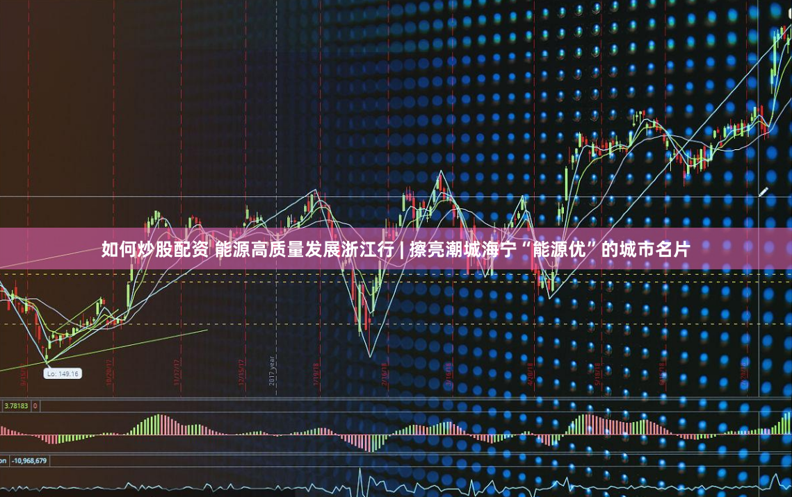 如何炒股配资 能源高质量发展浙江行 | 擦亮潮城海宁“能源优”的城市名片