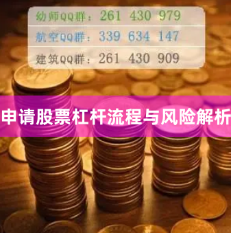 申请股票杠杆流程与风险解析